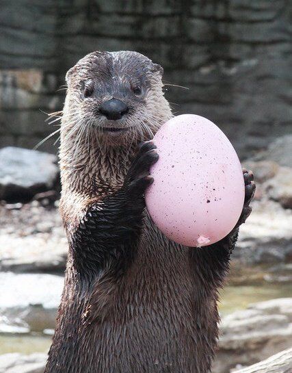 Cincinnati Zoo Easter